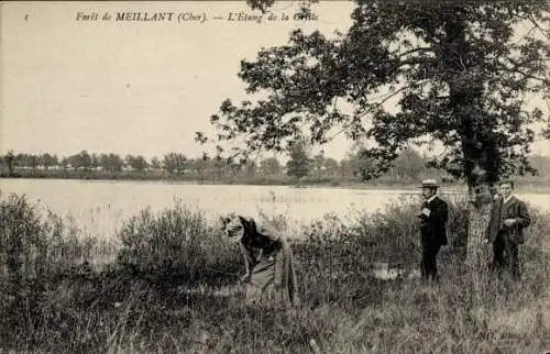 Ak Meillant Cher, Foret, Etang