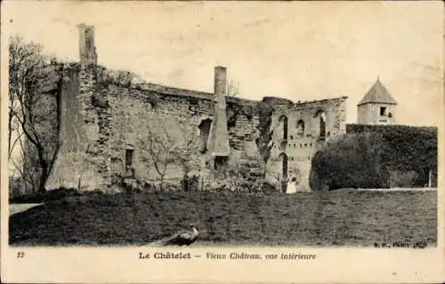 Ak Le Chatelet, Vieux Chateau, vue interieure