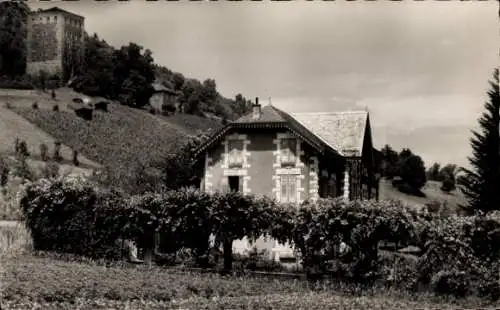 Ak Allevard les Bains Isère, Villa Speranza