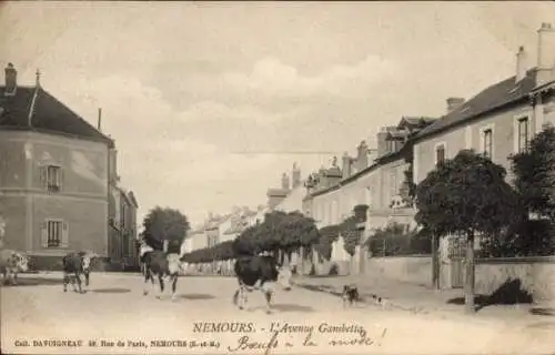 Ak Nemours Seine-et-Marne, L’Avenue Gambetta