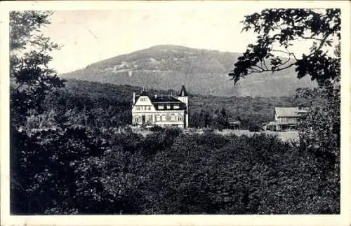 Ak Königstein im Taunus, Restauration Billtalhöhe, Inh. Wilhelm Wetzel