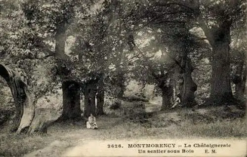 Set von 29 Ak Montmorency Val d’Oise