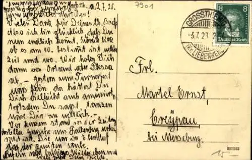 Ak Großthiemig in Brandenburg, Pfarrhaus, Gänse