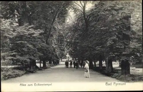 Ak Bad Pyrmont in Niedersachsen, Allee zum Erdbeertempel