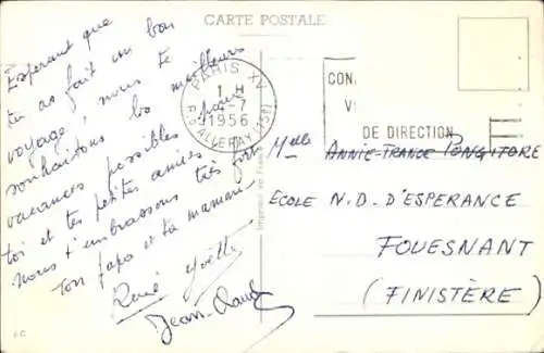 Ak Junge im Chemielabor, Katzen, Wein