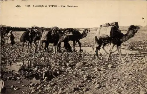 Ak Kamele, Kamelkarawane