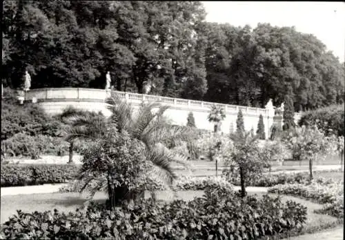 Ak Potsdam Sanssouci, Sizilianischer Garten