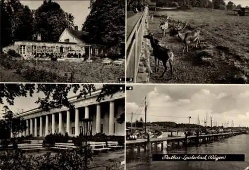 Ak Putbus auf der Insel Rügen, Rosencafe, Lauterbach Haus Goar, Erholungsheim Eisenhüttenstadt