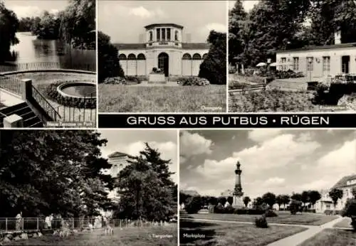 Ak Putbus auf der Insel Rügen, Park, Neue Terrasse, Orangerie, Rosengarten, Marktplatz, Tiergarten