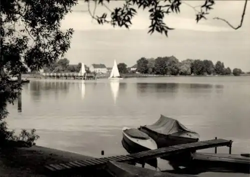 Ak Phöben Werder an der Havel, Teilansicht, Segelboote