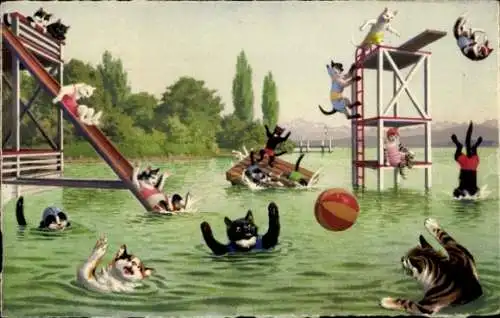 Ak Katzen im Schwimmbad, Mit Ball spielende Katzen