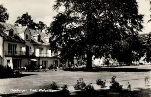 Ak Driebergen Utrecht Niederlande, Park Welgelegen