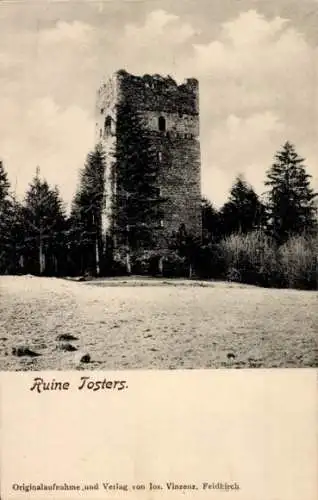 Ak Feldkirch Vorarlberg, Ruine Tosters