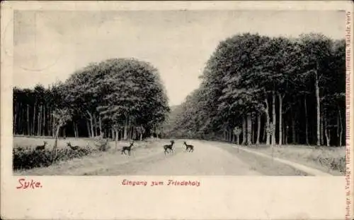 Ak Syke in Niedersachsen, Friedholz, Rehe