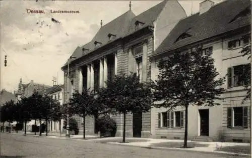 Ak Dessau, Landesmuseum