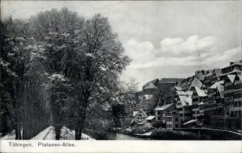 Ak Tübingen am Neckar, Platanen-Allee, Winter