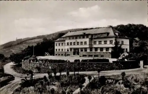 Ak Rüdesheim am Rhein in Hessen, Jugendherberge