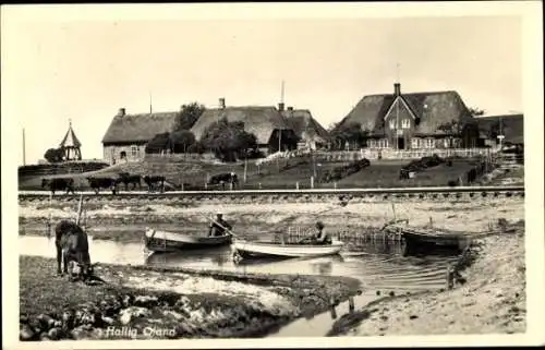 Ak Hallig Oland Nordfriesland, Teilansicht, Warft, Boote, Kuh