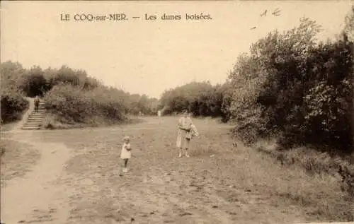 Ak De Haan Le Coq sur Mer Westflandern, Bewaldete Dünen