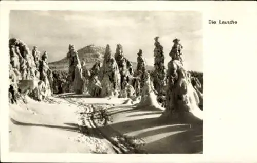 Ak Waltersdorf Großschönau Oberlausitz, Lausche und Kammweg im Schnee