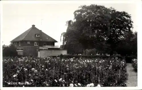 Ak Heerde Gelderland Niederlande, Dahliengarten