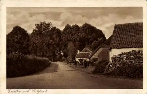 Ak Elspeet Gelderland, Blick auf das Dorf