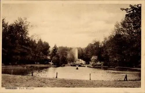 Ak Gniezno Gnesen Posen, Park Miejski