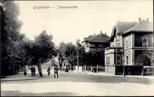 Ak Großenhain Sachsen, Johannesallee