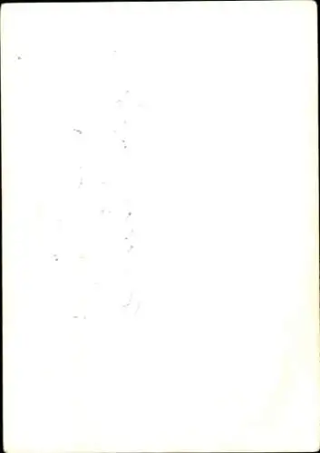 Ak Schauspielerin Margit Nünke, Portrait, Autogramm, Miss Germany 1955