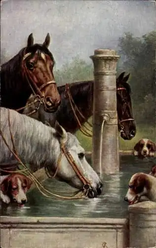 Künstler Ak Reichert, C., Pferde und Hunde trinken Wasser