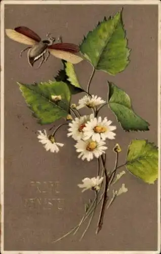 Ak Glückwunsch Pfingsten, Maikäfer, Blumen