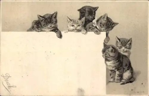 Präge Litho Junge Katzen, Kätzchen