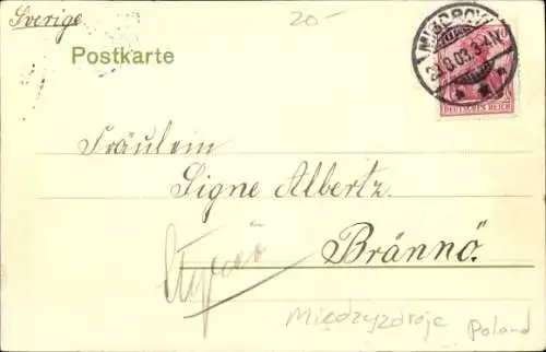 Ak Międzyzdroje Ostseebad Misdroy Pommern, Panorama