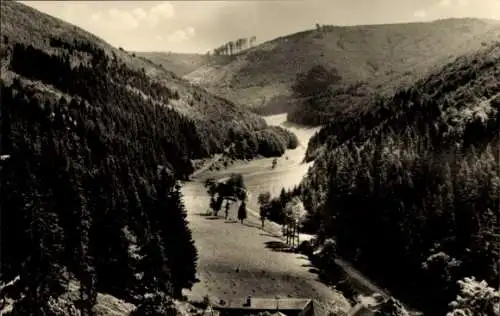 Ak Neustadt am Rennsteig Großbreitenbach in Thüringen, Tannenmühle, Tannengrund