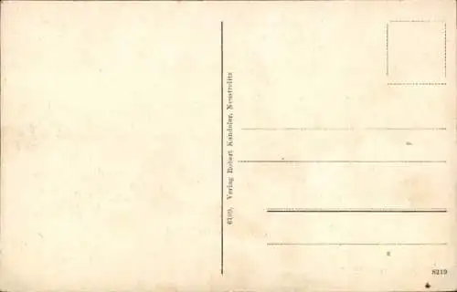 Ak Neustrelitz in Mecklenburg, Schloss