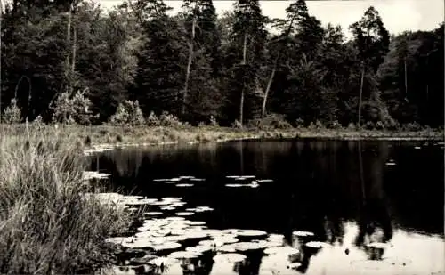 Ak Neuglobsow Stechlin Brandenburg, Teufelssee