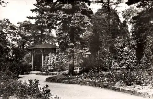 Ak Sangerhausen am Südharz, Rosarium, Pavillon