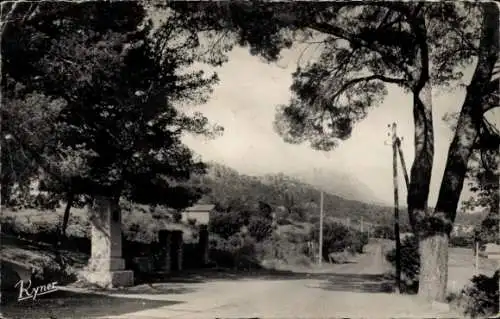 Ak Aix en Provence Bouches du Rhône, Stele a Cezanne, au Tholonet, Dans le fond, Sainte Victoire