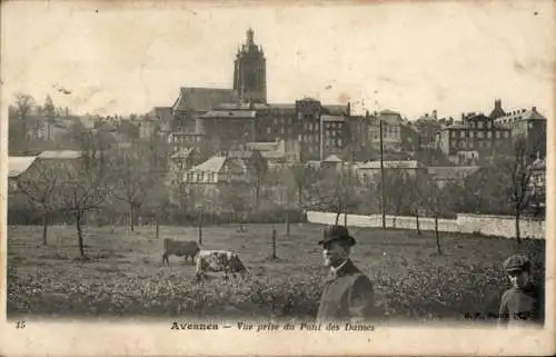 Ak Avesnes sur Helpe Nord, Vue prise du Pont des Dames, Mann mit Hut, Kühe