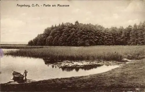Ak Węgorzewo Angerburg Ostpreußen, Mauersee