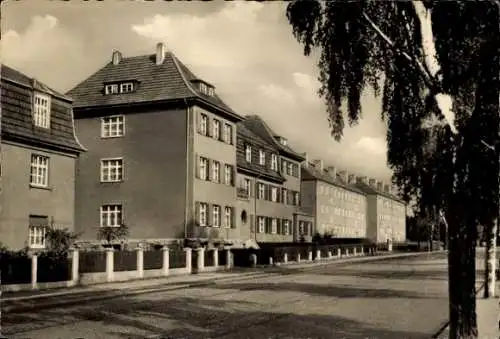 Ak Mühlhausen in Thüringen, Birkenweg