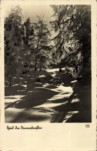 Ak Winterlandschaft, Spiel der Sonnenstrahlen