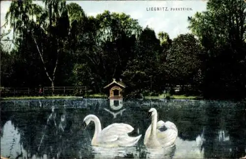 Ak Legnica Liegnitz Schlesien, Parkteich, Schwäne