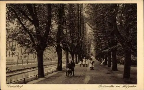 Ak Düsseldorf am Rhein, Hofgarten, Seufzerallee