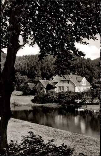 Ak Wieda Walkenried Harz, Hotel Pension Forellengrund