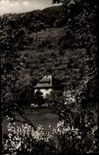 Ak Liesen Hallenberg Sauerland, Pension Steinschab