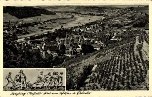 Ak Freyburg an der Unstrut, Sage vom Edelacker, Panorama