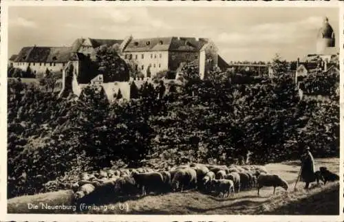 Ak Freyburg an der Unstrut, Burg Neuenburg, Schafherde