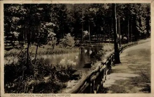 Ak Herford in Westfalen, Goldfischteich, Waldfrieden