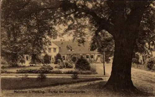 Ak Malchow in Mecklenburg, Klostergarten